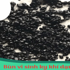 Bùn vi sinh kỵ khí dạng hạt