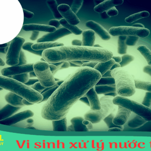 Vi sinh xử lý nước thải nhập khẩu